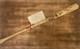 Bo Jackson Signed Autographed Louisville Slugger B310 Bat Score Board COA