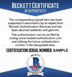 Jackson Browne Signed Autographed Drum Head + Beckett COA Singer and Musician