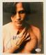 Jackson Browne Vintage Signed Photo 8x10 JSA