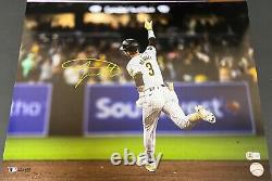 Jackson Merrill Padres Auto Signed 16x20 Photo Beckett WITNESS Hologram