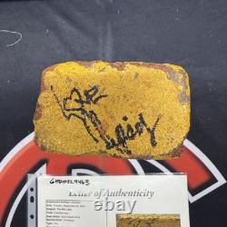 Michael Jackson The Wiz Cast Autographed Original Movie Set Brick Signed JSA