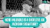 Shoeless Joe Jackson Autographs How Valuable Are They