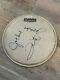 The Jackson 5 Autograph Drumhead Signed by Jackie, Tito, Marlon Jackson PSA